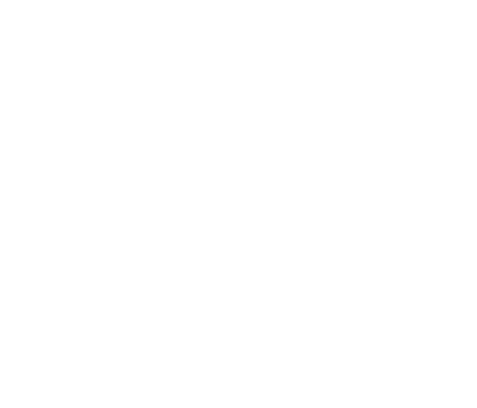 Fremont Street Experience